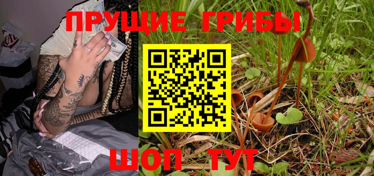 Галлюциногенные грибы MAGIC MUSHROOMS  Вход с VPN  Шарыпово 